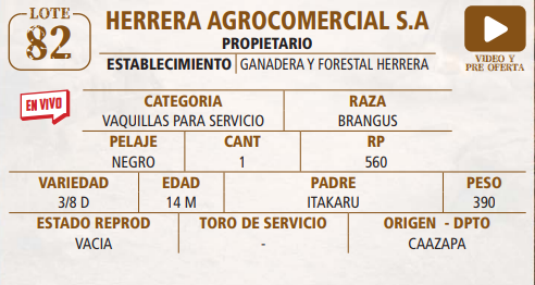 Lote LOTE 82 -EN VIVO