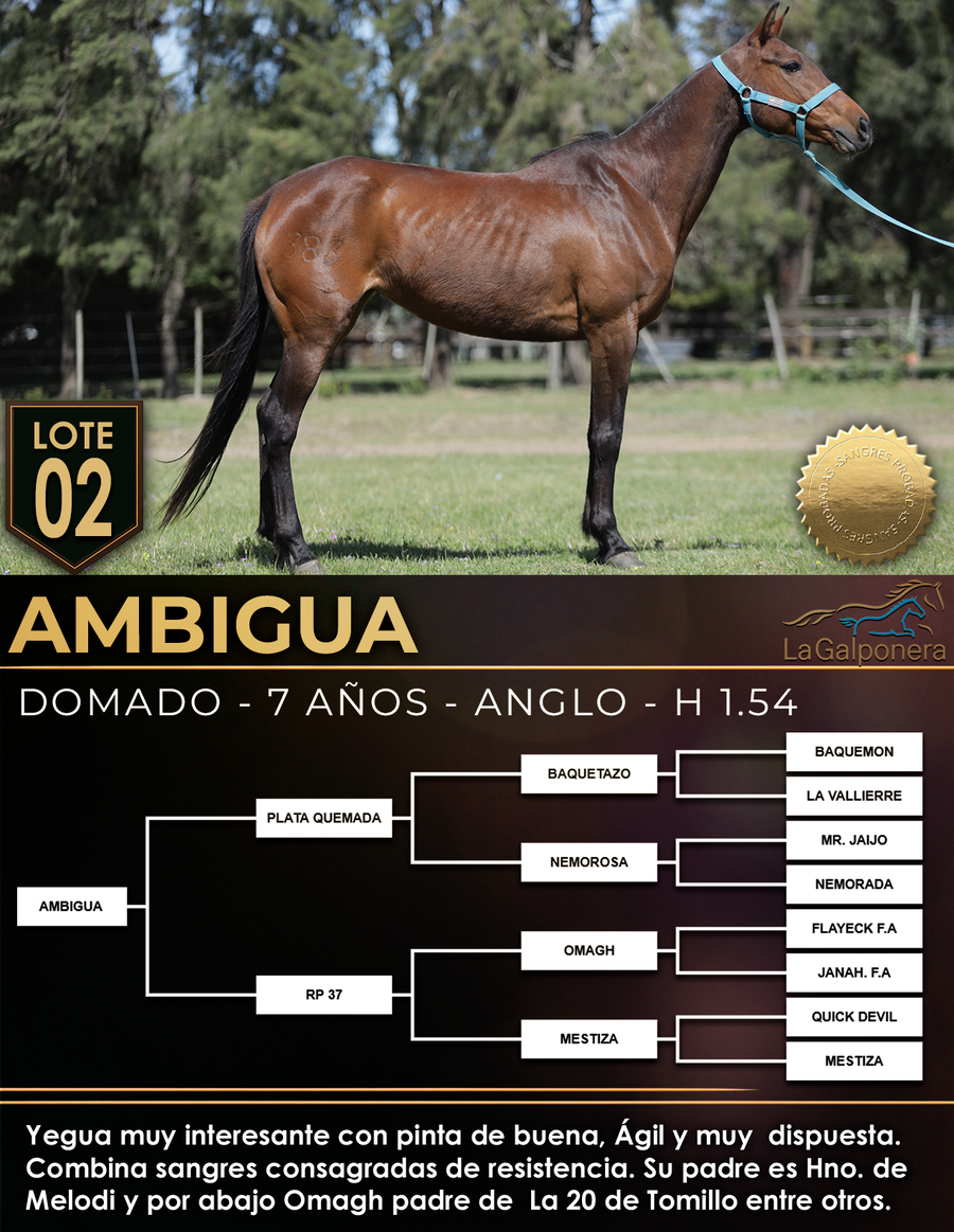 Lote AMBIGUA