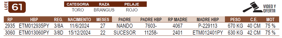 Lote LOTE 61