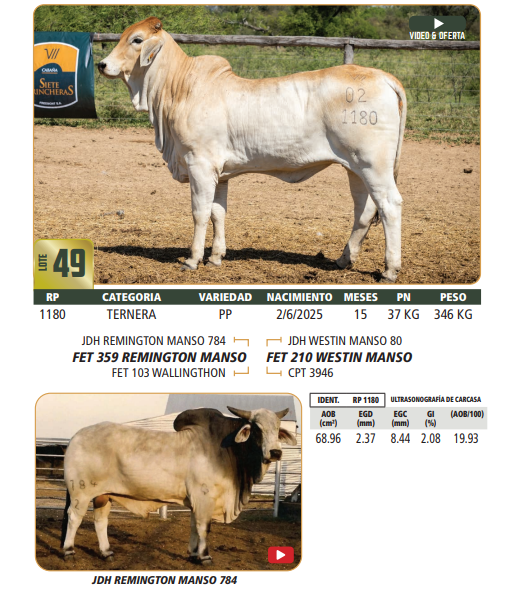 Lote LOTE 49