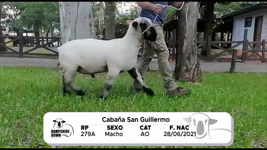 Lote LOTE 6 BOZAL - RP 279A