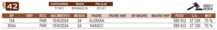 Lote LOTE 42