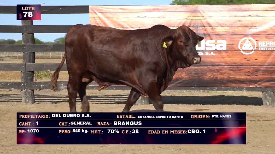 Lote DEL DUERO SA   LOTE 78