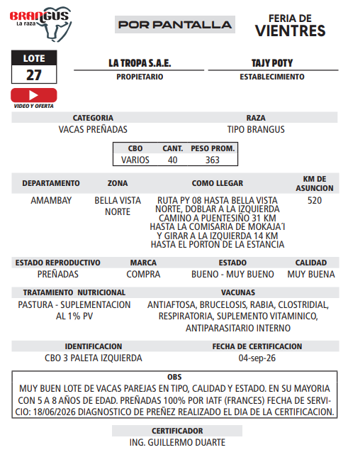 Lote LOTE 27 - POR PANTALLA