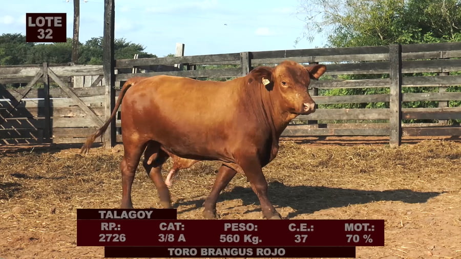 Lote Cabañas de Tradición - Lote 32