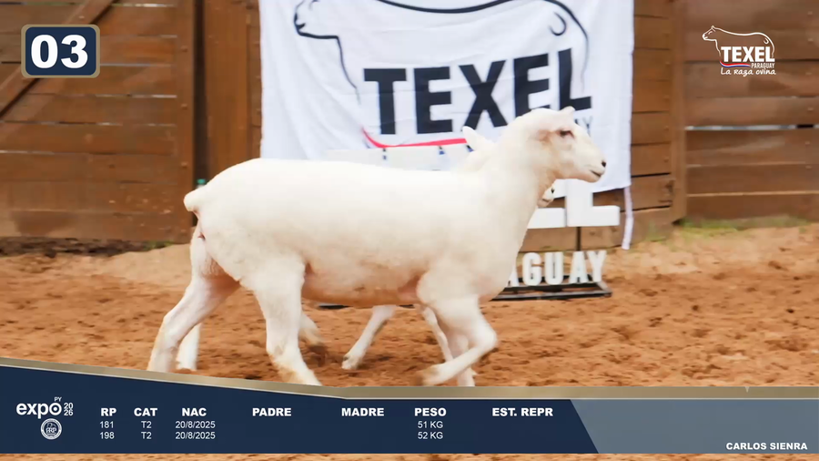 Lote LOTE 3