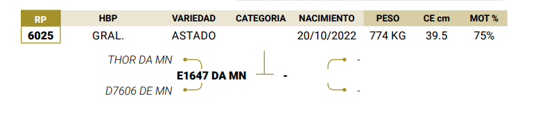 Lote LOTE 18