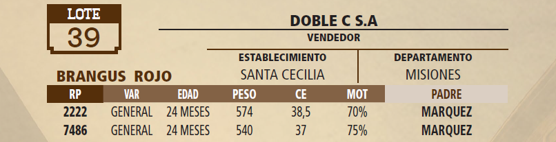 Lote LOTE 39 - VIVO