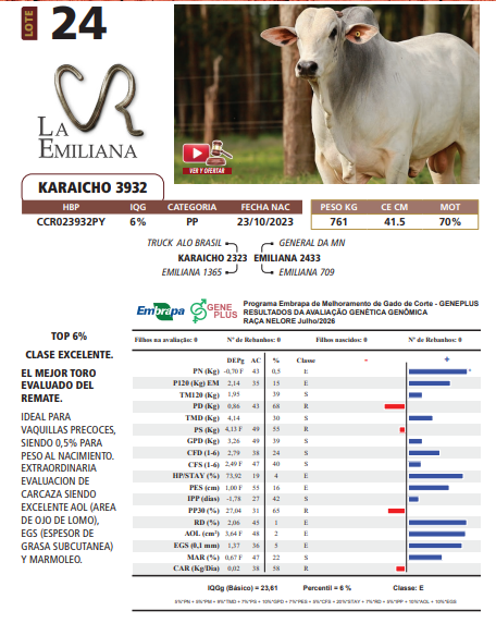 Lote LOTE 24