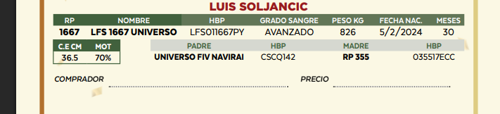 Lote LOTE 8
