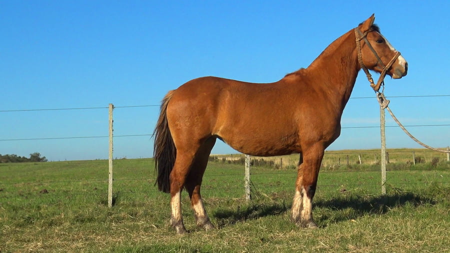 Lote MACARENA ESMERALDA