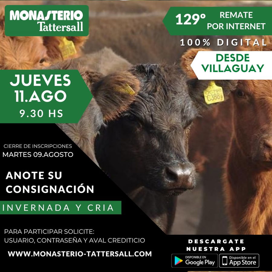 Lote 102 Terneras en Villa Cañas, Santa Fe