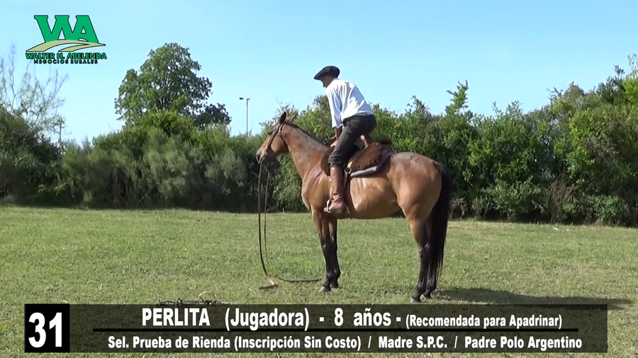 Lote PERLITA