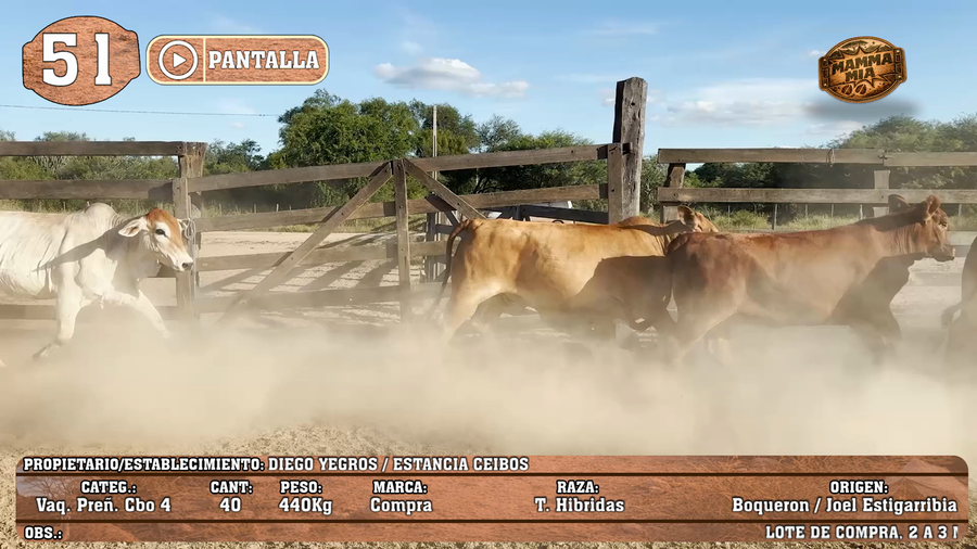 Lote LOTE 51 - POR PANTALLA