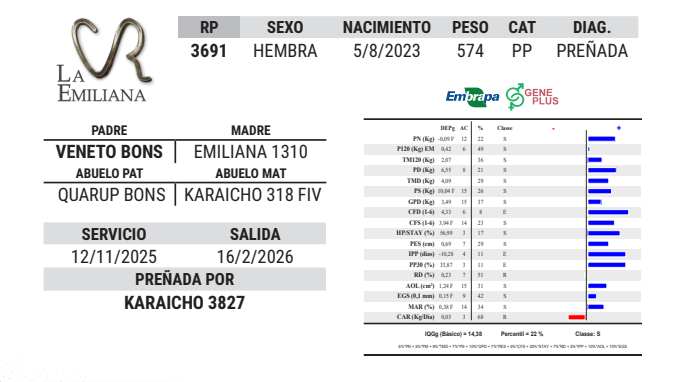 Lote LOTE 11