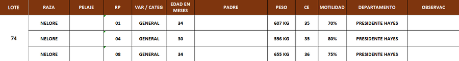 Lote LOTE 74- POR PANTALLA