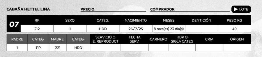 Lote LOTE 7