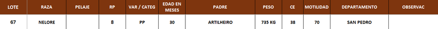 Lote LOTE 67