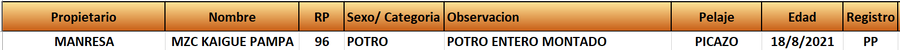 Lote LOTE 16