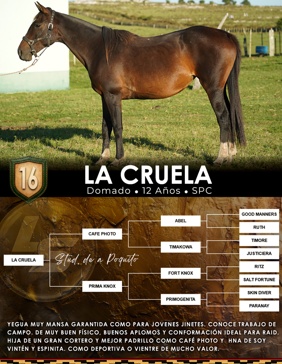 Lote LA CRUELA