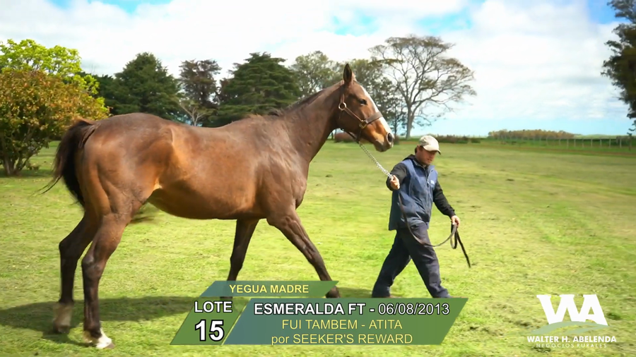 Lote ESMERALDA FT