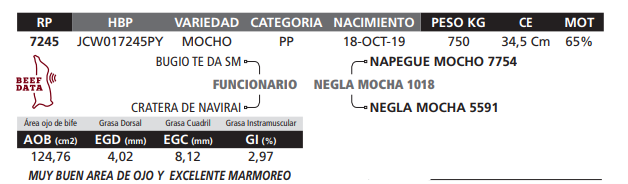 Lote LOTE 61