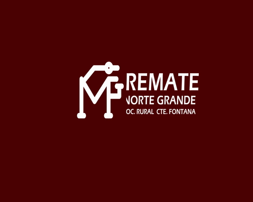 Lote VAQUILLONA BASE PARA ENTORAR