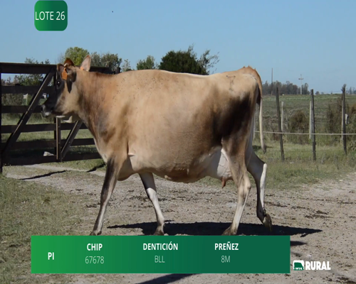 Lote VACA SECA PRÓXIMA