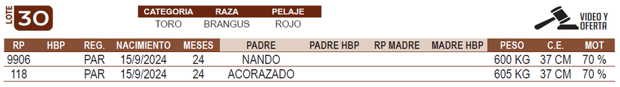 Lote LOTE 30