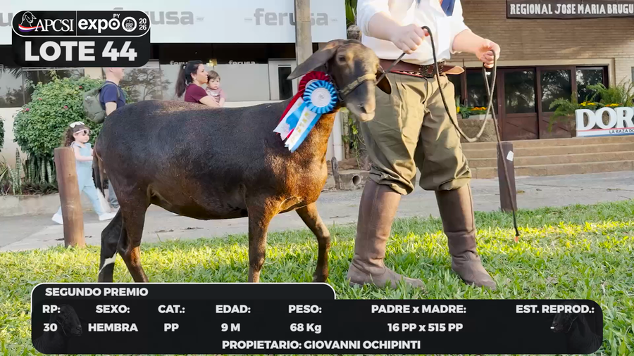 Lote LOTE 44 - BOZAL