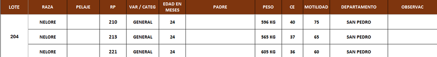 Lote LOTE 204