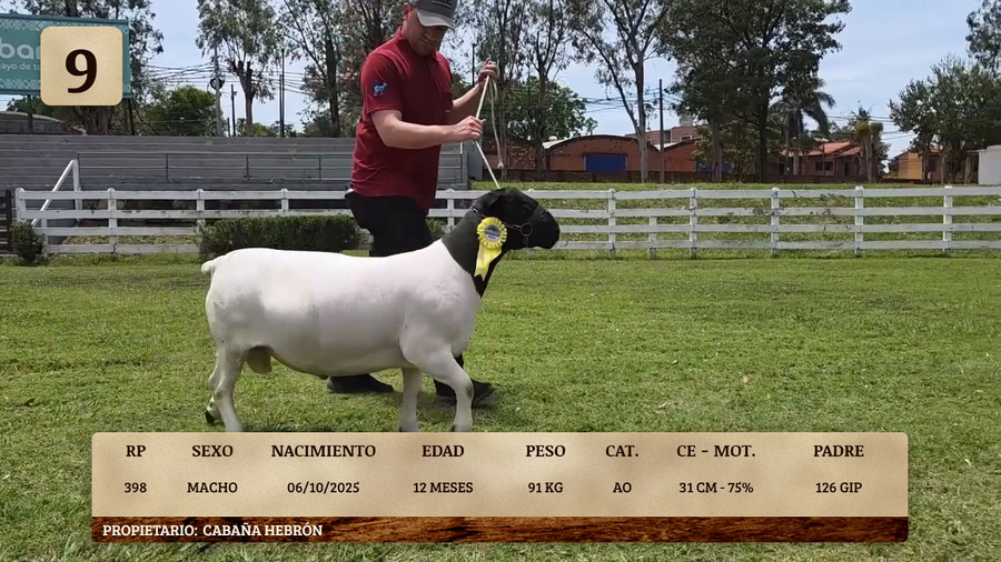 Lote LOTE 9