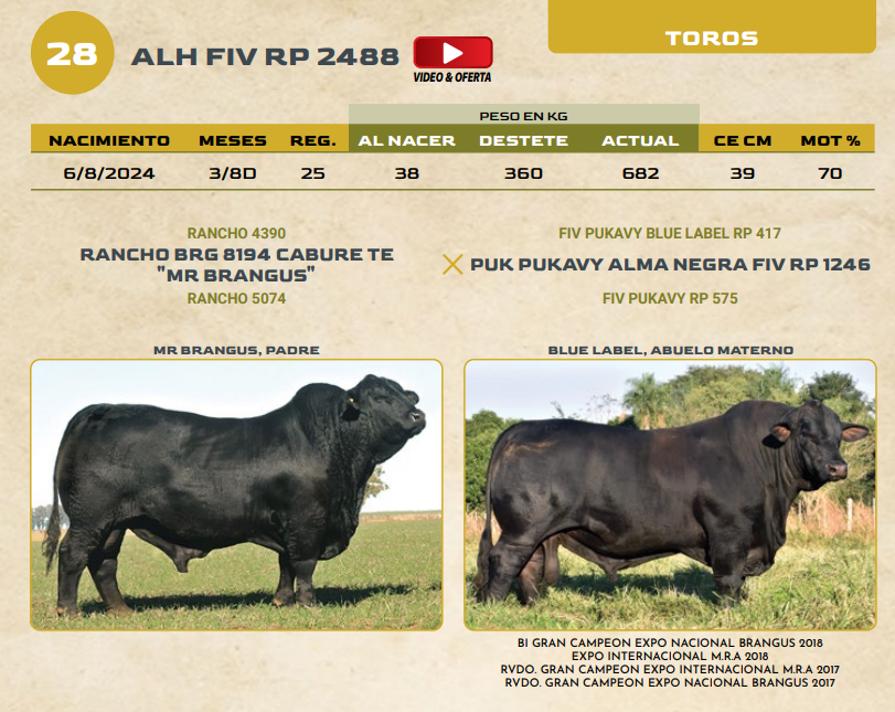 Lote LOTE 28
