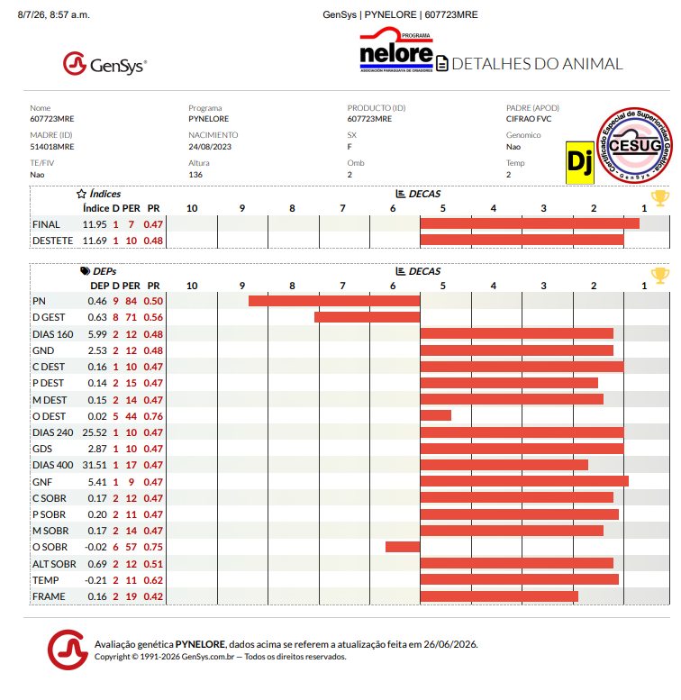 Lote LOTE 23