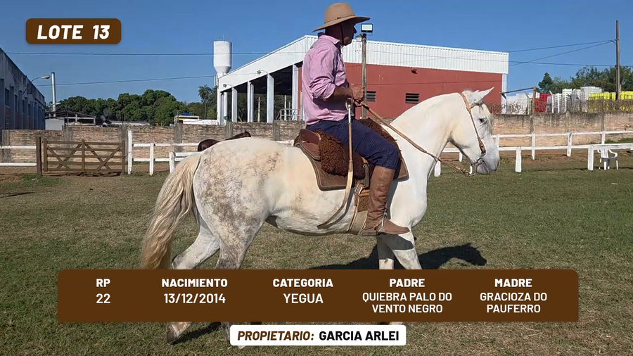 Lote LOTE 13