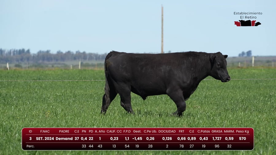 Lote RP 3