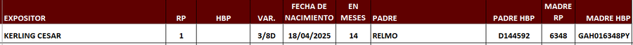 Lote LOTE 33