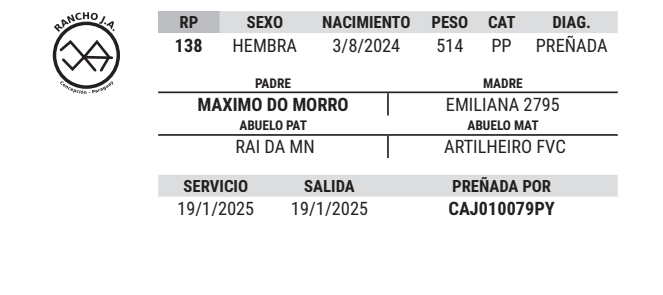 Lote LOTE 15