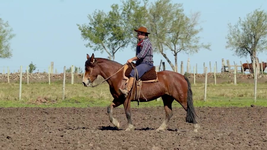 Lote Santa Ines Llorona