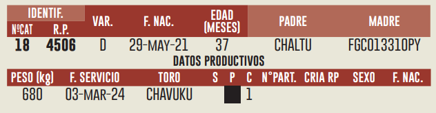 Imagen 2 del Lote Lote LOTE 16