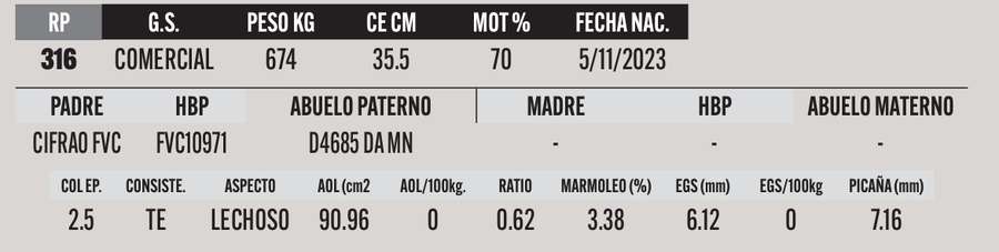 Lote LOTE 30