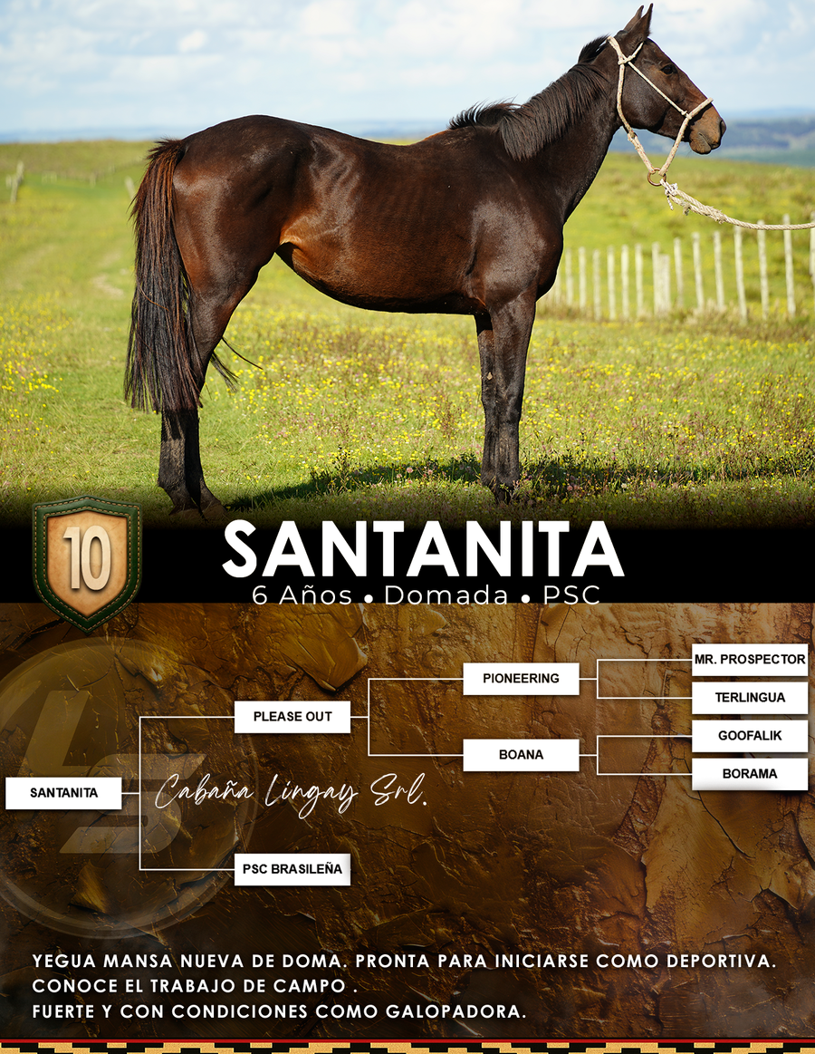 Lote SANTANITA