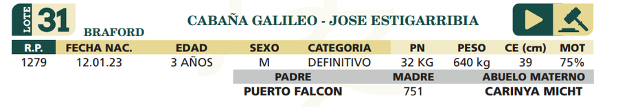 Lote LOTE 31