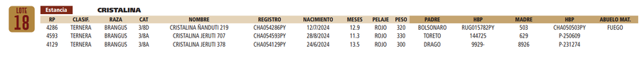 Lote LOTE 18