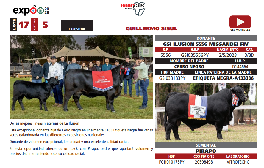 Lote LOTE 17