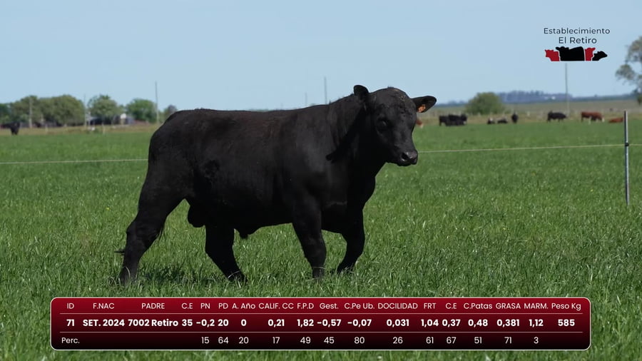 Lote RP 71