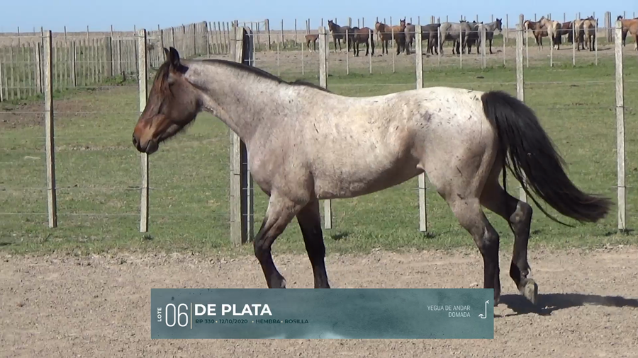 Lote Yeguarizos a remate en Criollos, Montevideo