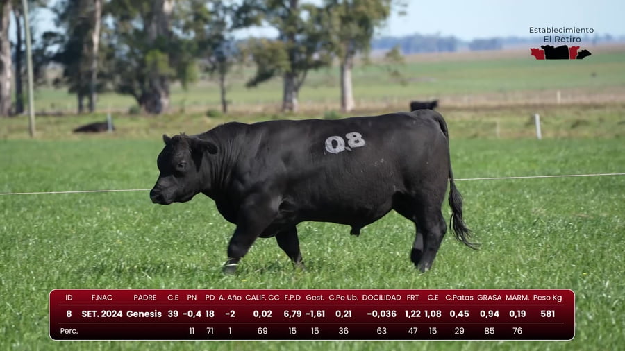 Lote RP 8