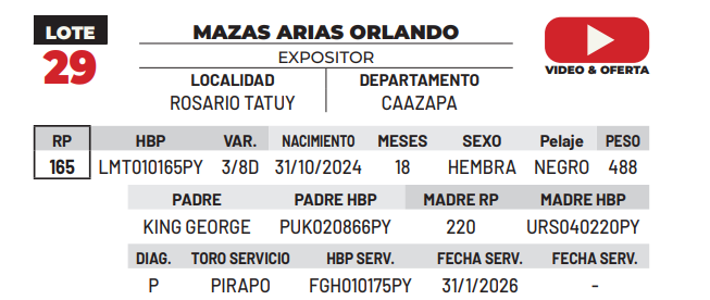 Lote LOTE 29 -DE CAMPO