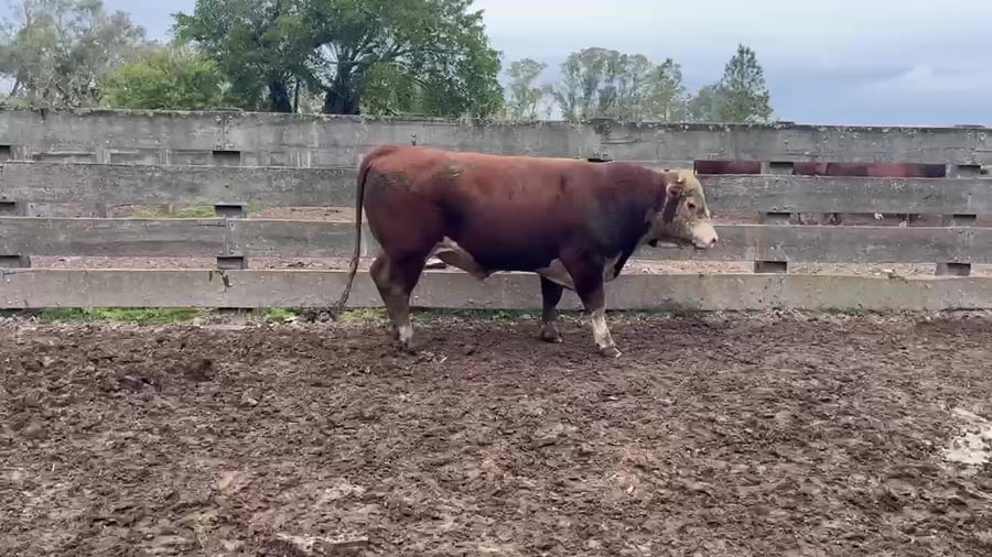 Lote El Vichadero RP H532